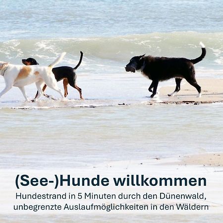 Paradies-Ambiente - Strandnah, Sauna, Kamin, Hundefreundlich Цинновиц Экстерьер фото