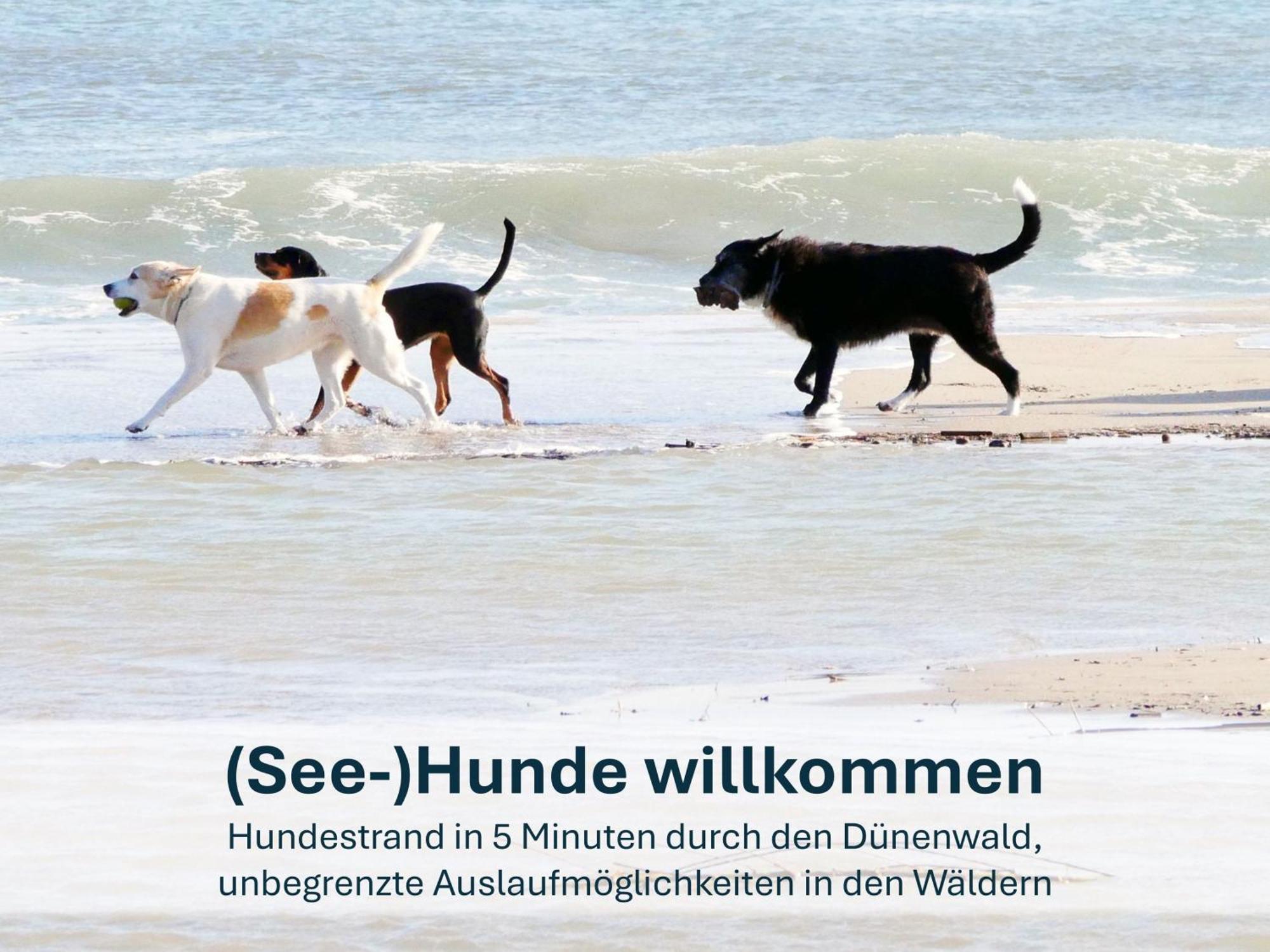 Paradies-Ambiente - Strandnah, Sauna, Kamin, Hundefreundlich Цинновиц Экстерьер фото
